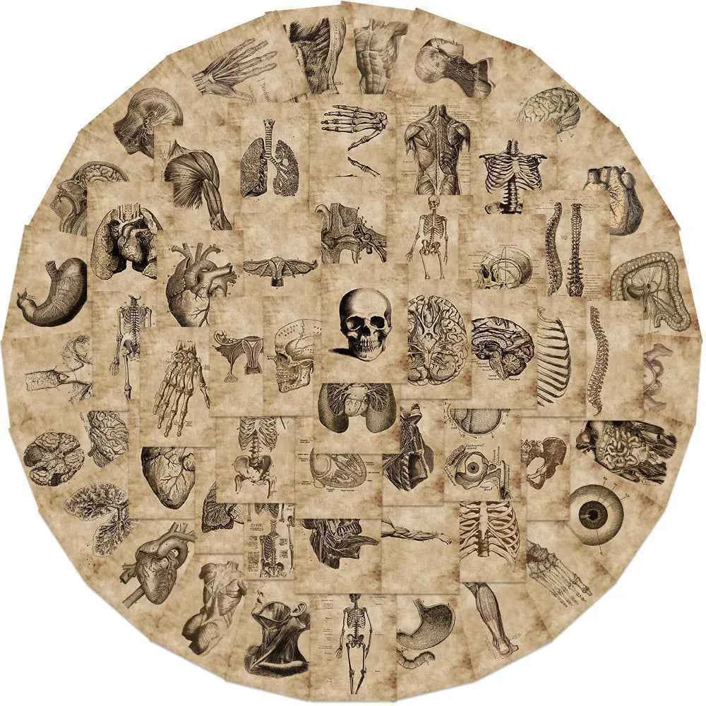 56pcs Anatomy and Physiology The Body Structure Stickers PVC Waterproof Toy Graffiti Skeleton Stickers For Luggage Decals