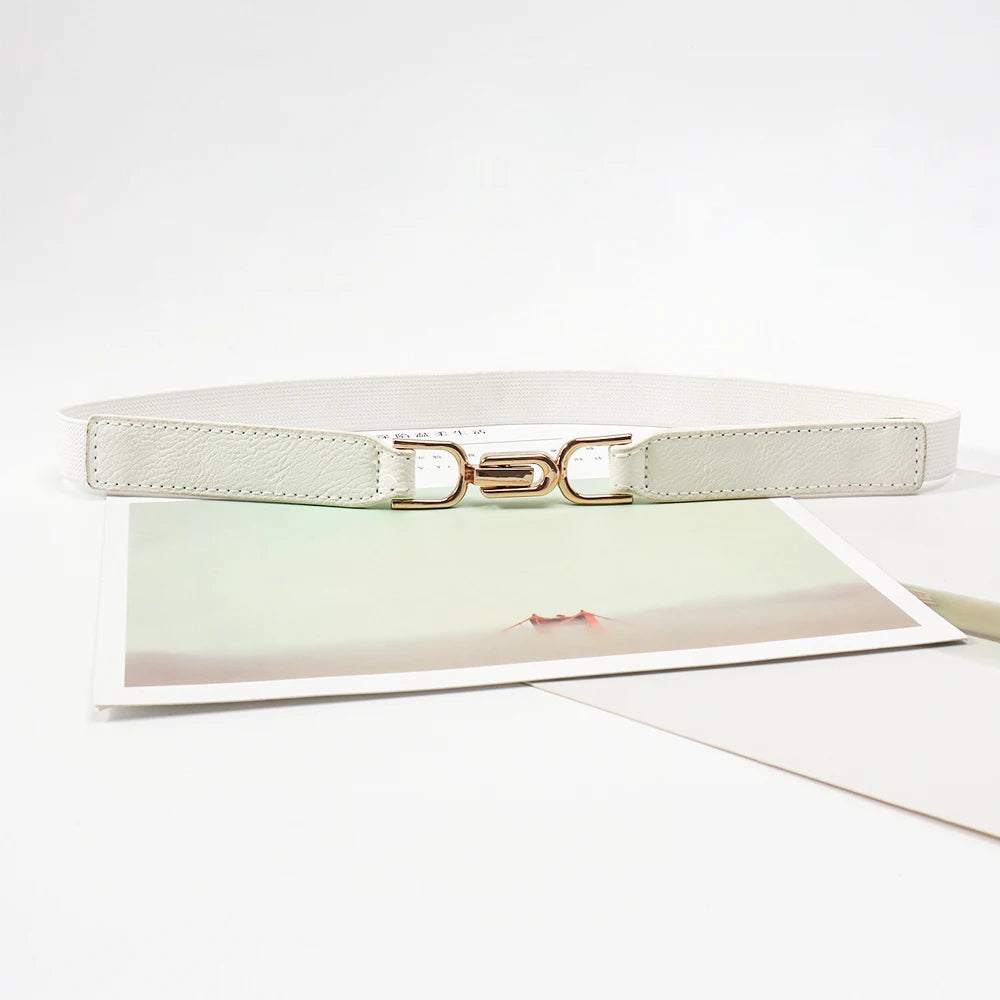 Women Skinny Belt for Dresses Ladies Fashion Elastic Belts Waist Band Cinch Waistband