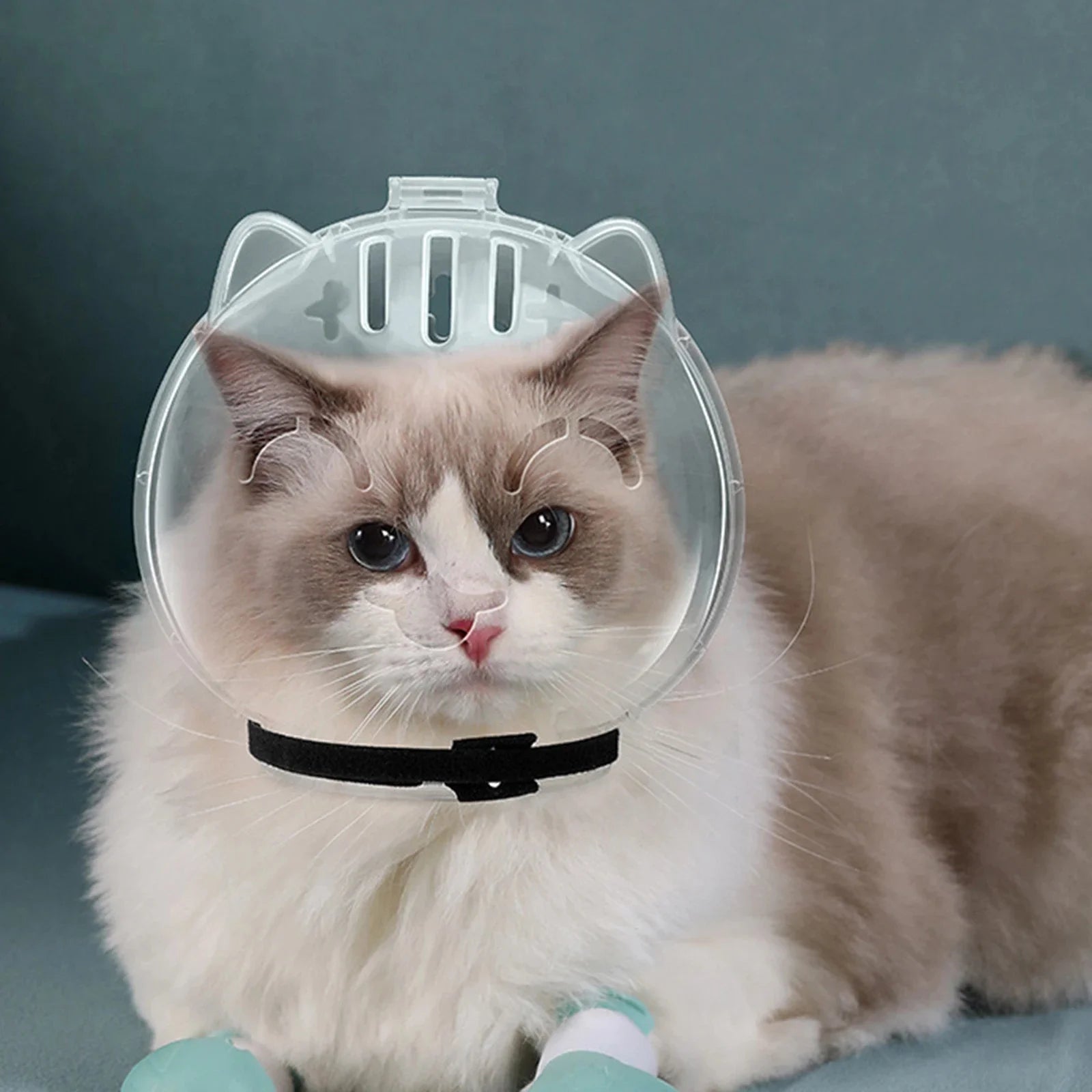 1Set Cat Muzzle Pet Grooming Cover Accessory Cat Anti Bite Anti Licking Space Hood Breathable Helmet with 4 Silicone Paw Shoes