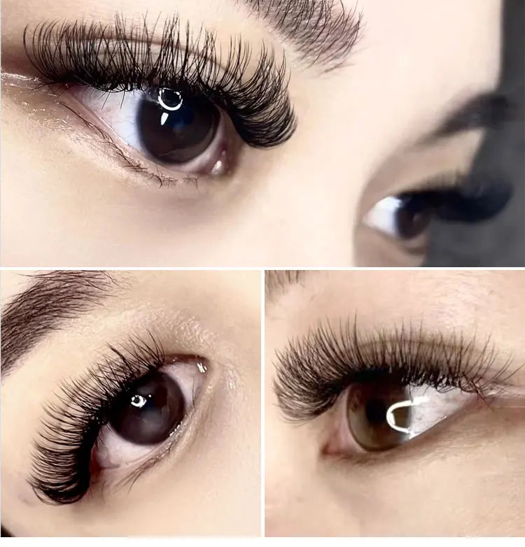6D W Shape Eyelash Extensions - Pre Made Self Fan Lashes for Easy Application | Blooming Lashes Professional Kit