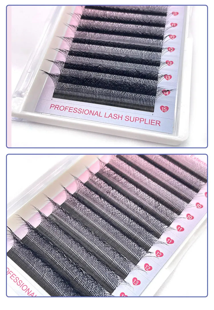 6D W Shape Eyelash Extensions - Pre Made Self Fan Lashes for Easy Application | Blooming Lashes Professional Kit