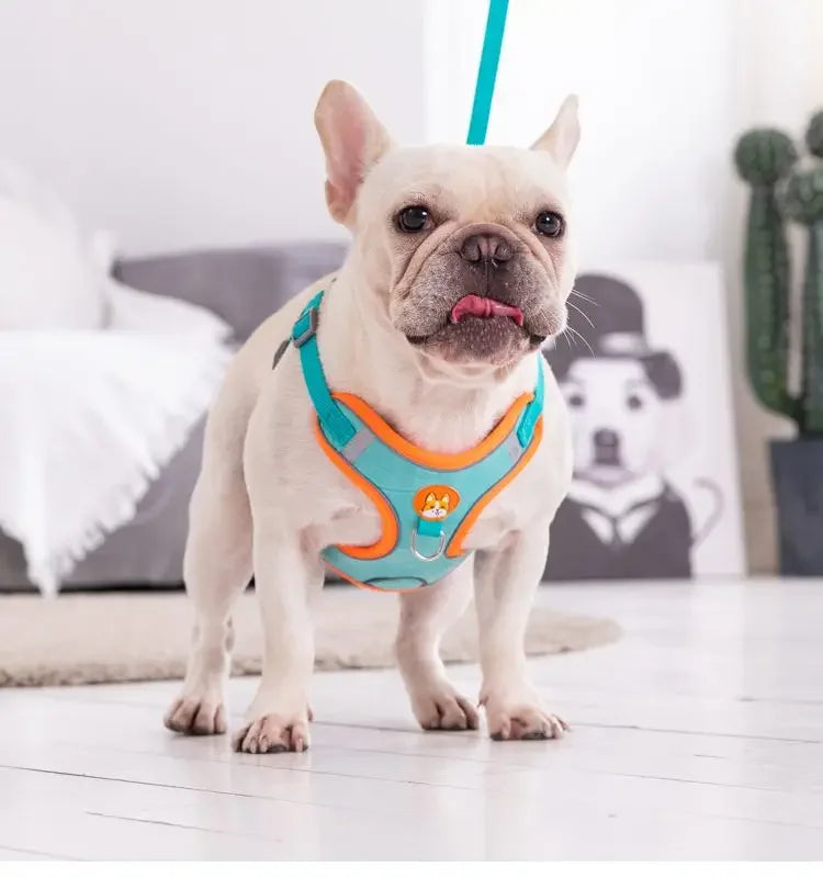 Adjustable No Pull Reflective Pet Harness Lead Walking Running Leashes Dog Cat Chest Strap Vest Leash
