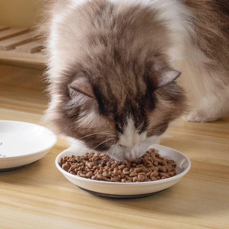 Ceramic Cat Food Bowl with Non-Slip Base for Kittens