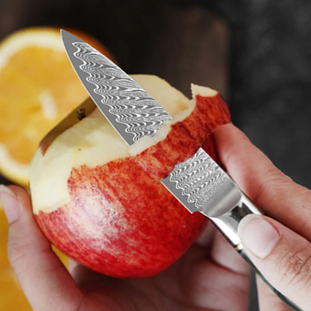 1-8pcs Professional kitchen knife set Damascus Steel Set for Meat Cutting Sushi Peeling and Boning Blue Resin Wood Handle