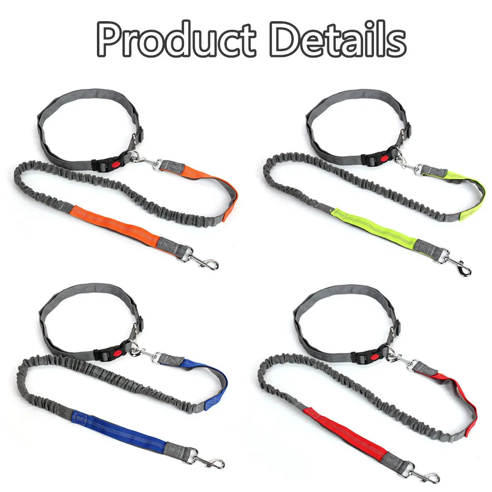 Retractable Dog Leash with Adjustable Waist Rope Hand Free Running Jogging Cycling Big Dogs Pet Elasticity Lead Pet Supplies
