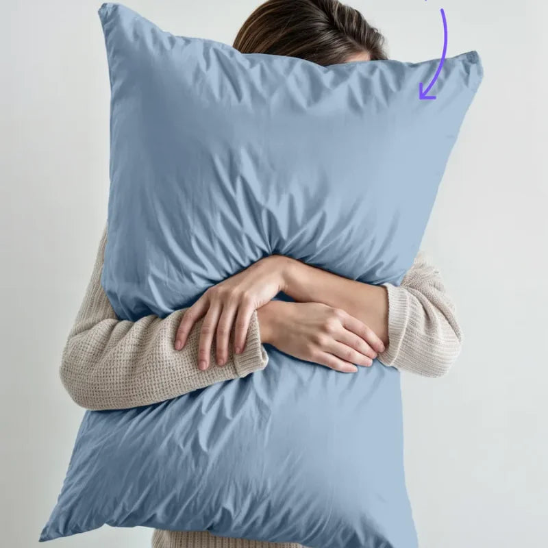 2pcs Brushed Pillowcase Soft Breathable Pillowcase Premium Quality Pillow Covers For Bedroom Sofa Home Decor