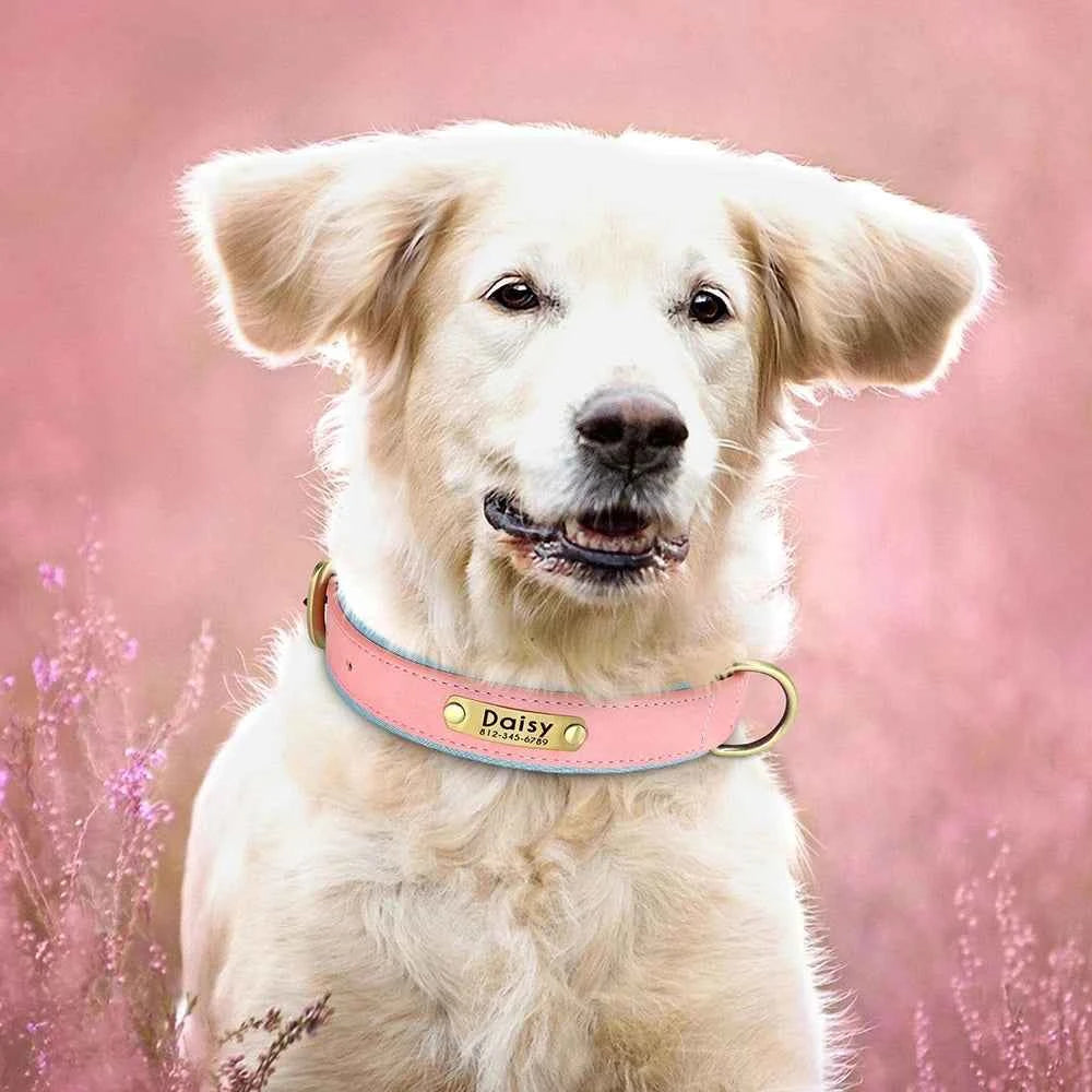Personalized Leather Custom Dog Collar Soft Padded Dog Collars Durable Pet ID Tag Collar Adjustable for Small Medium Large Dogs