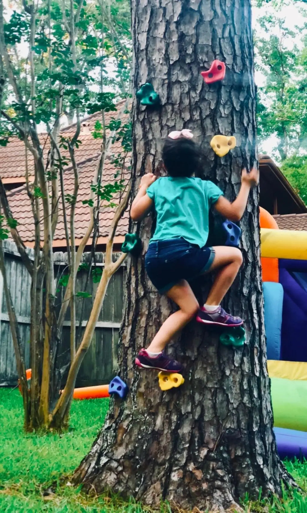 Kids Rock Climbing Games Toys for Children Wall Climbing Stones Child Playground Indoor  Outdoor Rock Wall Climbing Kit
