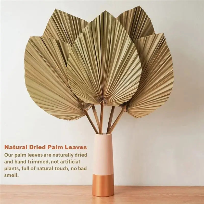 Fresh 4 Pieces Natural Dried Palm Leaves Home Furnishing Palm Leaves Perfect For Palm Leaf Decor, Boho Decor, Home Decor, Weddin