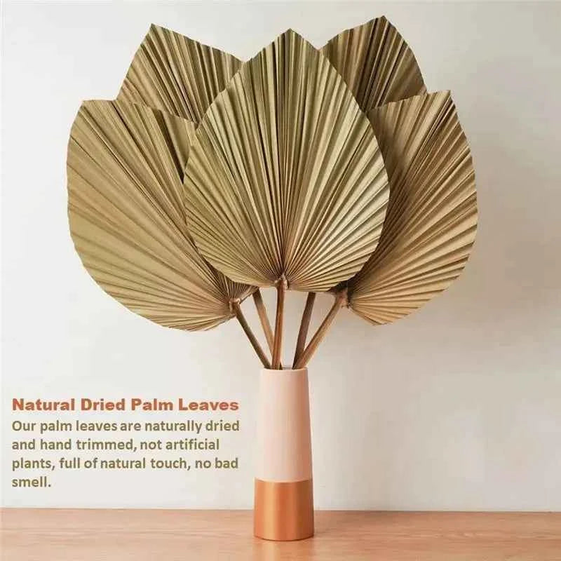Fresh 4 Pieces Natural Dried Palm Leaves Home Furnishing Palm Leaves Perfect For Palm Leaf Decor, Boho Decor, Home Decor, Weddin