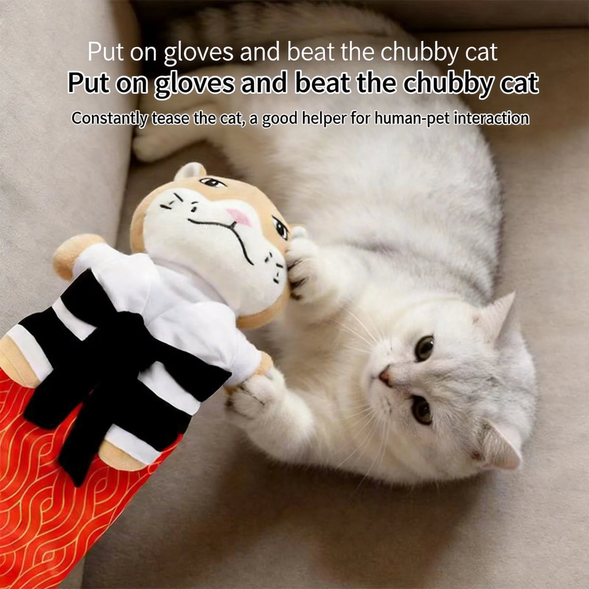 Cat Play Gloves With Protective Pads – Interactive Training Toy