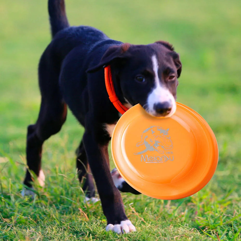 Durable Dog Training Disc Toy – Lightweight, Easy to Catch