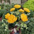 Solar Lights Outdoor, Solar Garden Lights, 7Head Camellia Flower Solar Light for Yard Lawn Garden Atmosphere Lighting Decoration