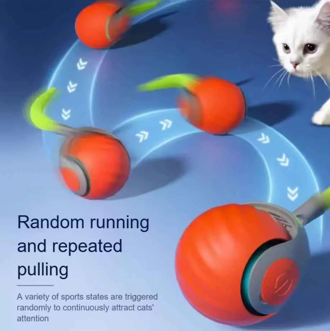 Interactive Rolling Cat Ball Toy – USB Rechargeable