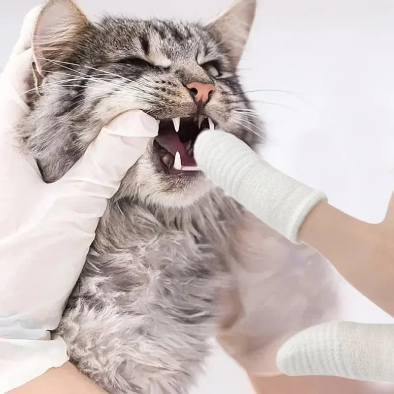 24/12pcs Pet Two-finger Brushing Finger Cots Remove Tartar Cochlear Clean for Cat Dog Toothbrush Oral Care Finger Cover Pet Care