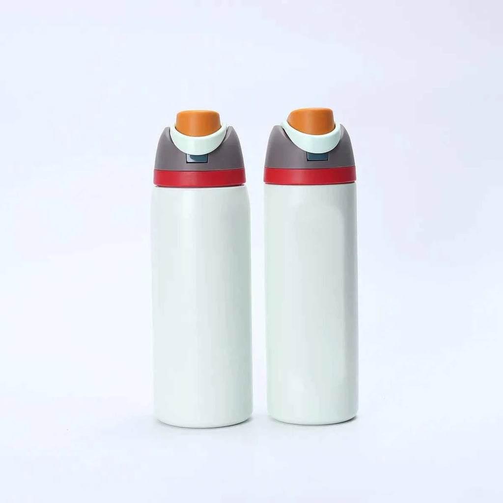 24Oz Insulated Stainless Steel Water Bottle with Straw BPA Free Leakproof Bottle Daily Sports Use Prefect Gift for Women