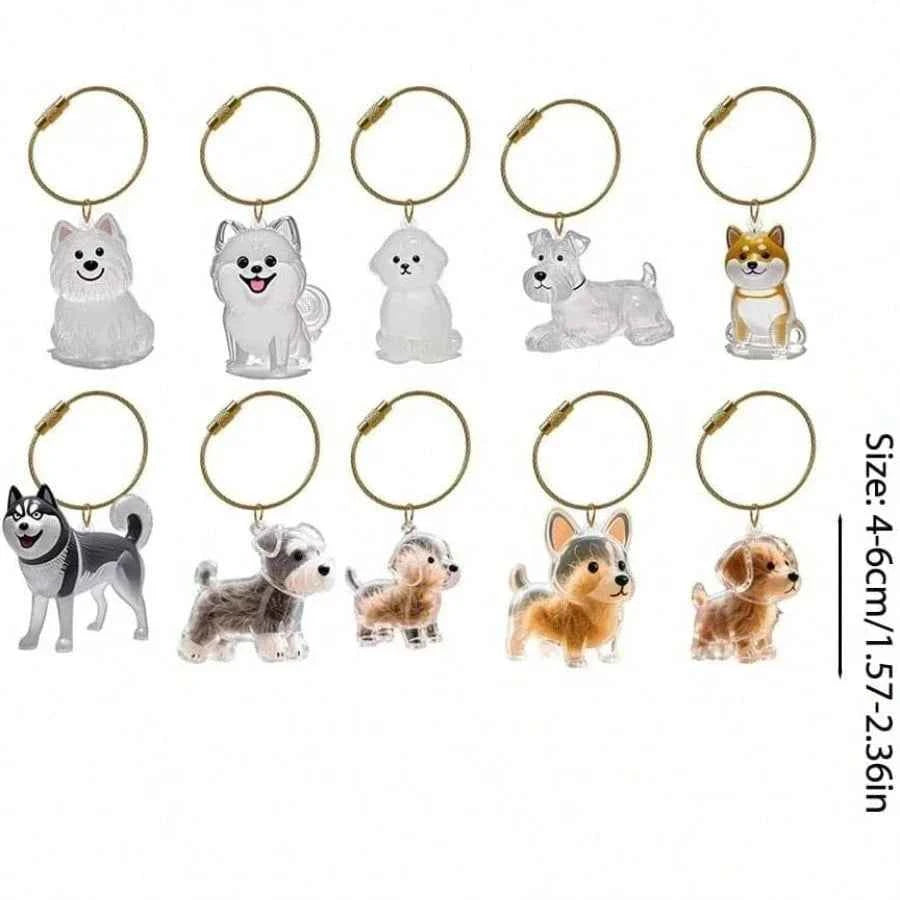Transparent Dog Hair Storage Pendant Dog Hair Collector Keychain Pet Hair Memorial Bottle for Pet Lovers DIY Memorial Keychain