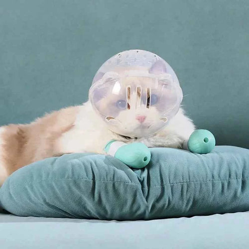 1Set Cat Muzzle Pet Grooming Cover Accessory Cat Anti Bite Anti Licking Space Hood Breathable Helmet with 4 Silicone Paw Shoes