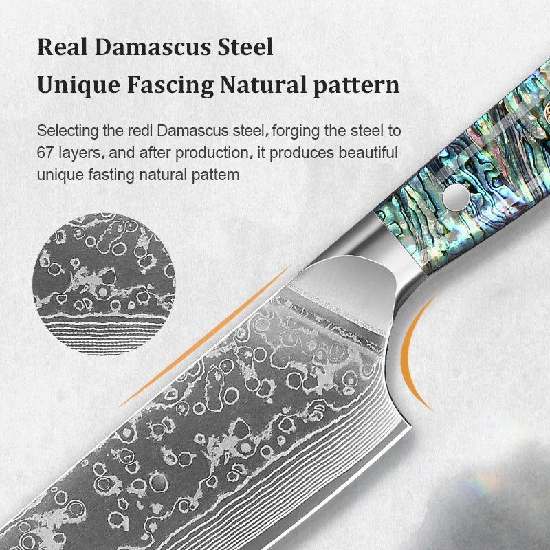 8' Kitchen Chef Knife Damascus Steel 67 Layer l Sharp Kitchen Cooking Knife Abalone Shell Handle