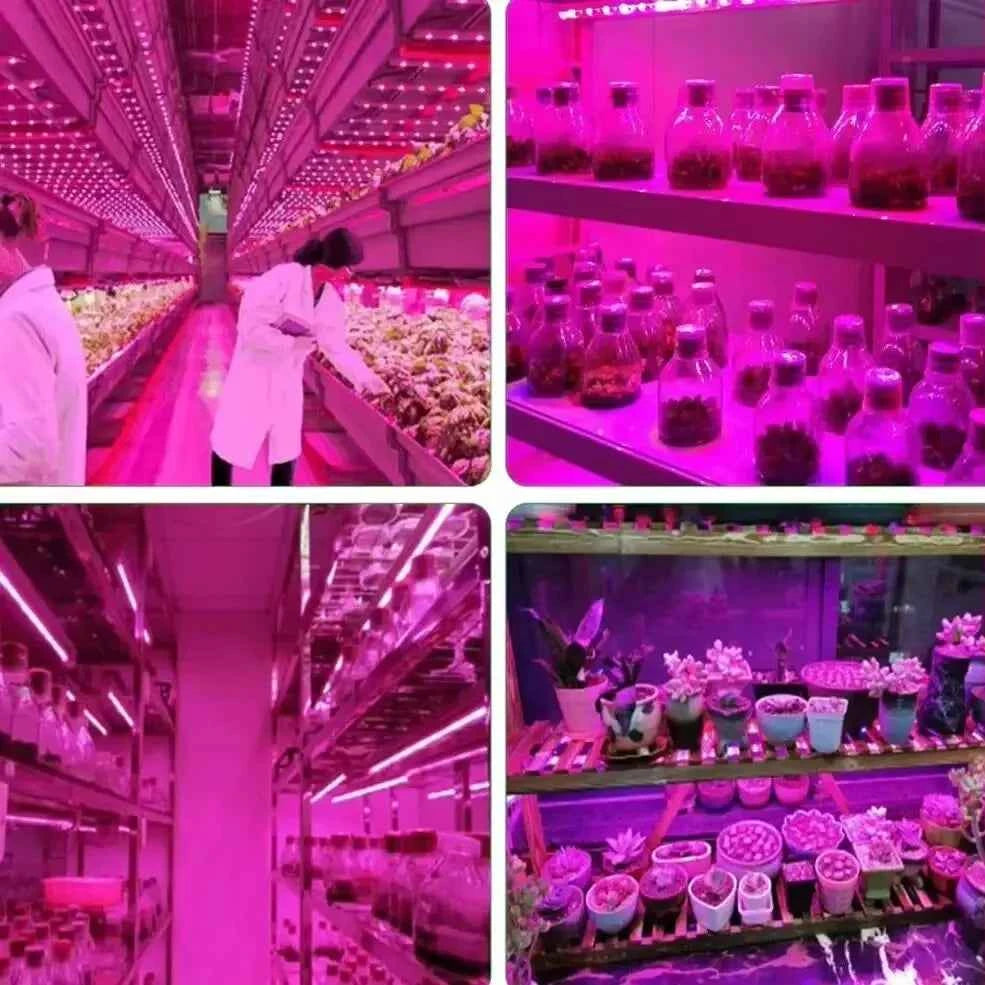 DC 5V USB Led Plant Grow Lights,1m 2m 3m Full Spectrum Phyto Lamp Strip for Plants Hydroponics Greenhouse Growing System .