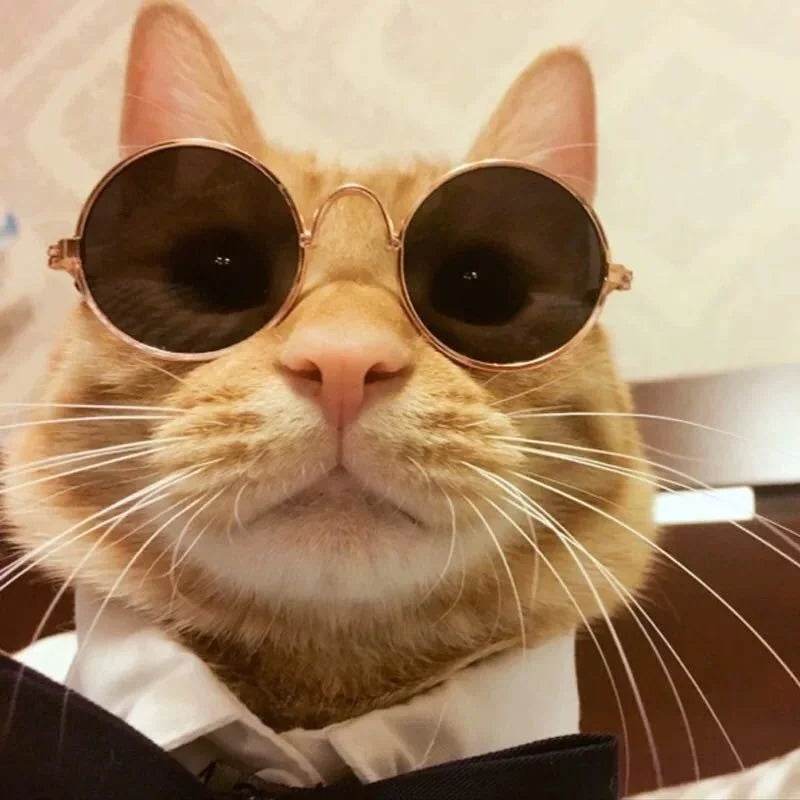 Non-Slip Cat Glasses Pet Accessories Small Dog Sunglasses Puppy Kitty Cosplay Costume Photo Props Cute Animal Eyewear