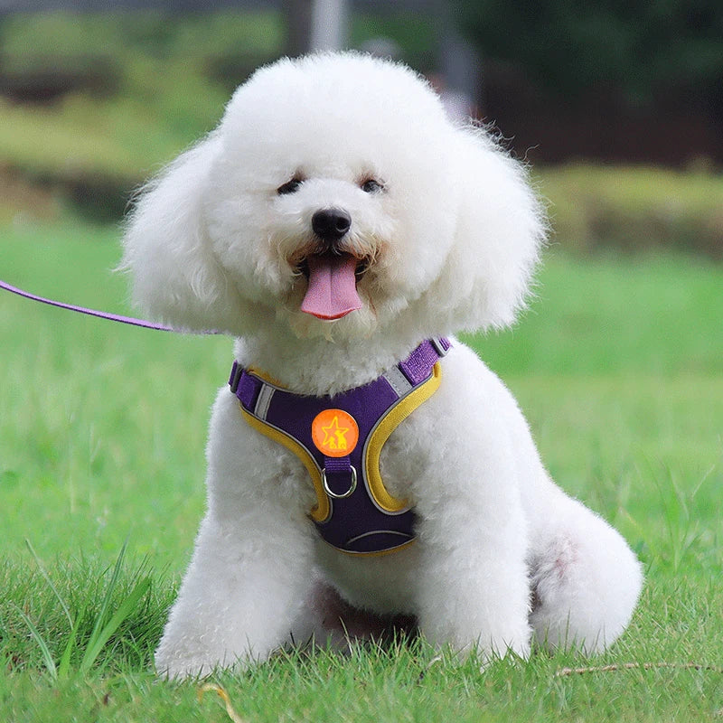 No-Pull Reflective Dog Harness with Soft Breathable Mesh