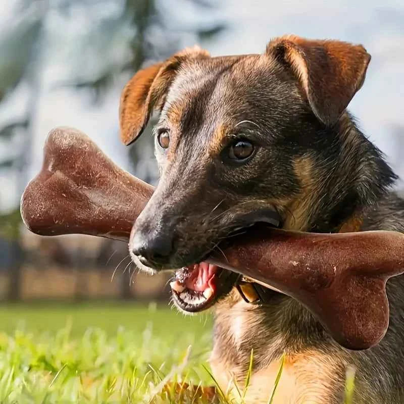 Durable Beef-Flavored Dog Chew Bone Toy
