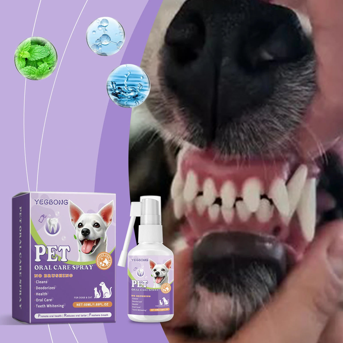 Pet Flea & Tick Spray – Gentle Itch Relief Formula