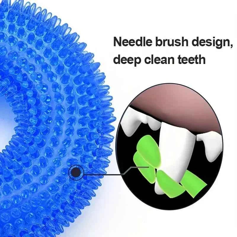 Durable Squeaky Dog Ball Toy – Chew-Resistant Play