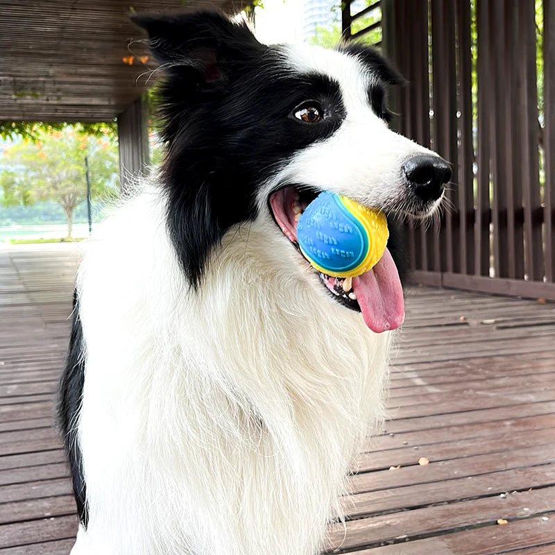TPR Squeaky Dog Ball Toy – Teeth Cleaning & Tough Chew