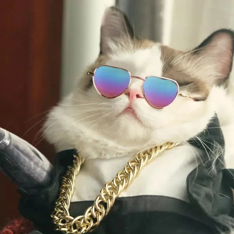 Non-Slip Cat Glasses Pet Accessories Small Dog Sunglasses Puppy Kitty Cosplay Costume Photo Props Cute Animal Eyewear