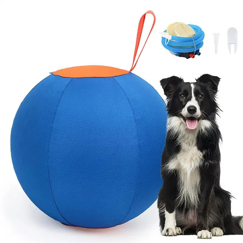 Large Herding Dog Ball Toy With Pump – Durable PVC Design