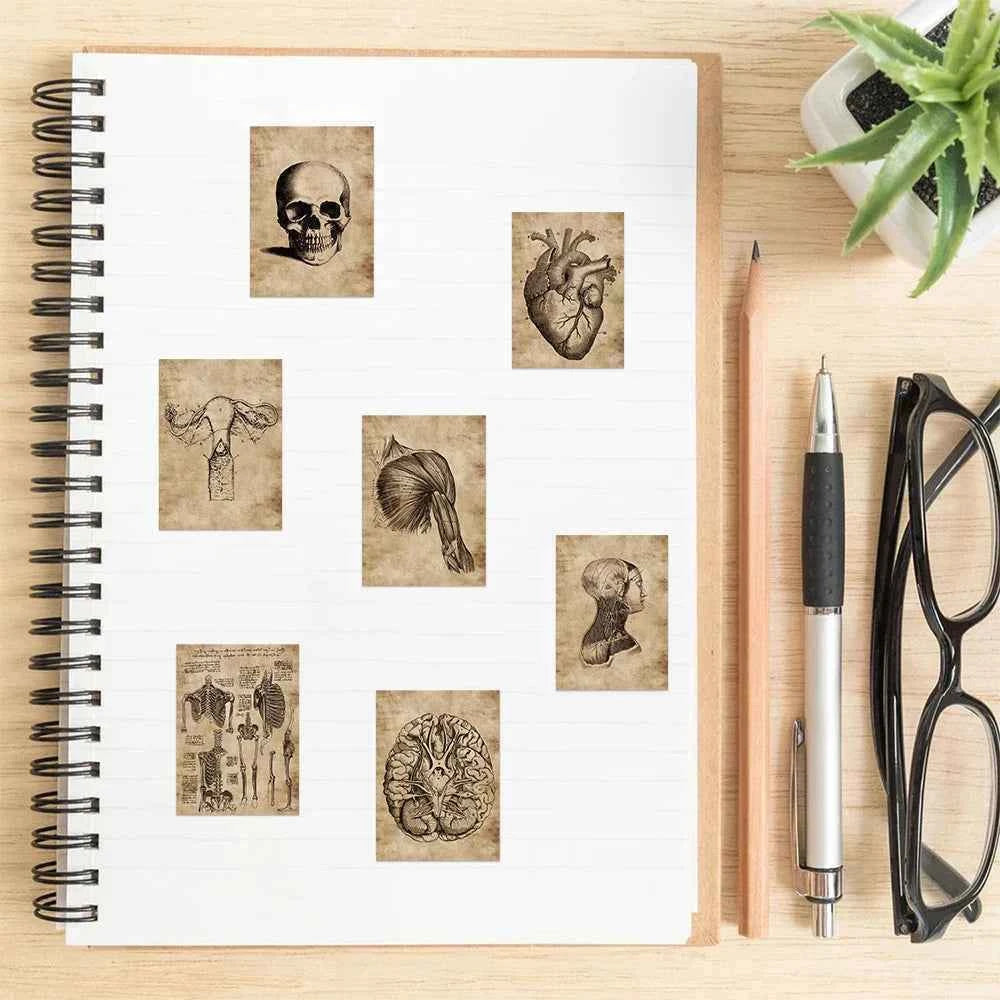 56pcs Anatomy and Physiology The Body Structure Stickers PVC Waterproof Toy Graffiti Skeleton Stickers For Luggage Decals