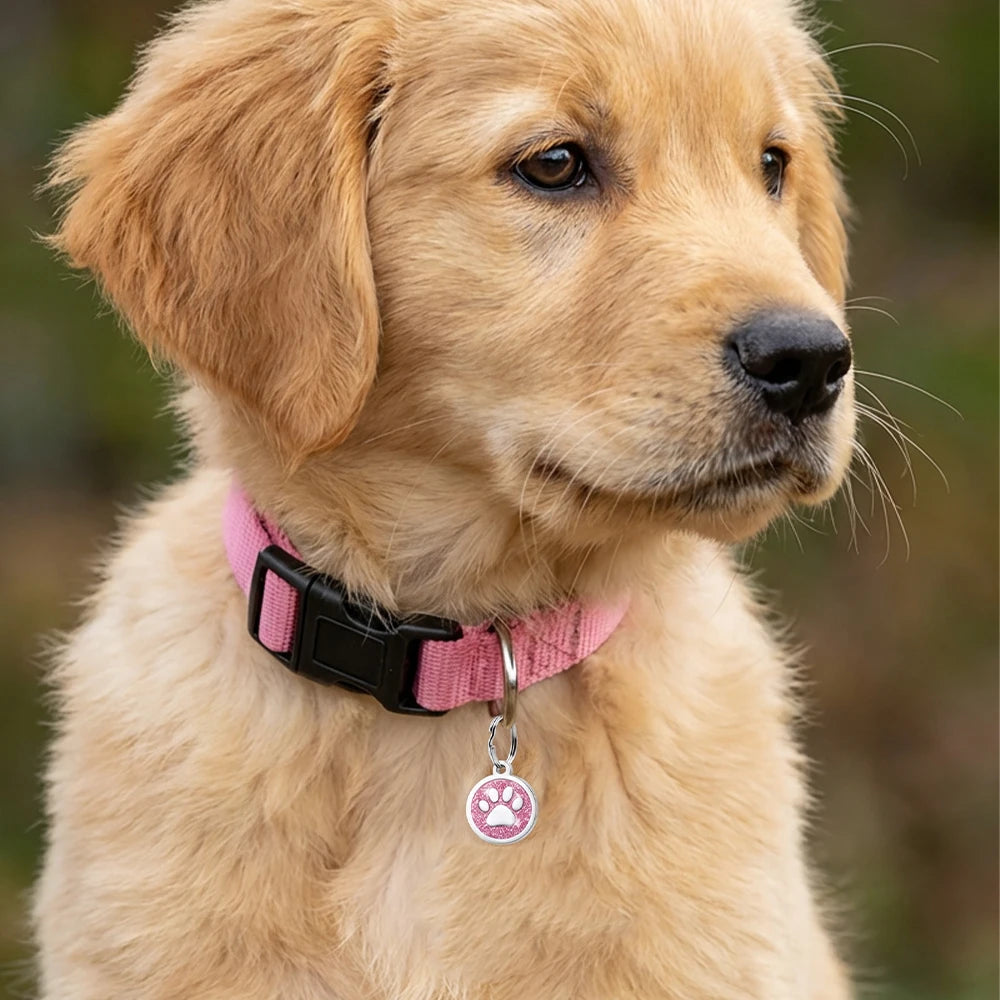 Engraved Pet ID Tags – Personalized Dog and Cat Name Plate
