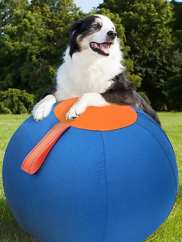 Large Herding Dog Ball Toy With Pump – Durable PVC Design