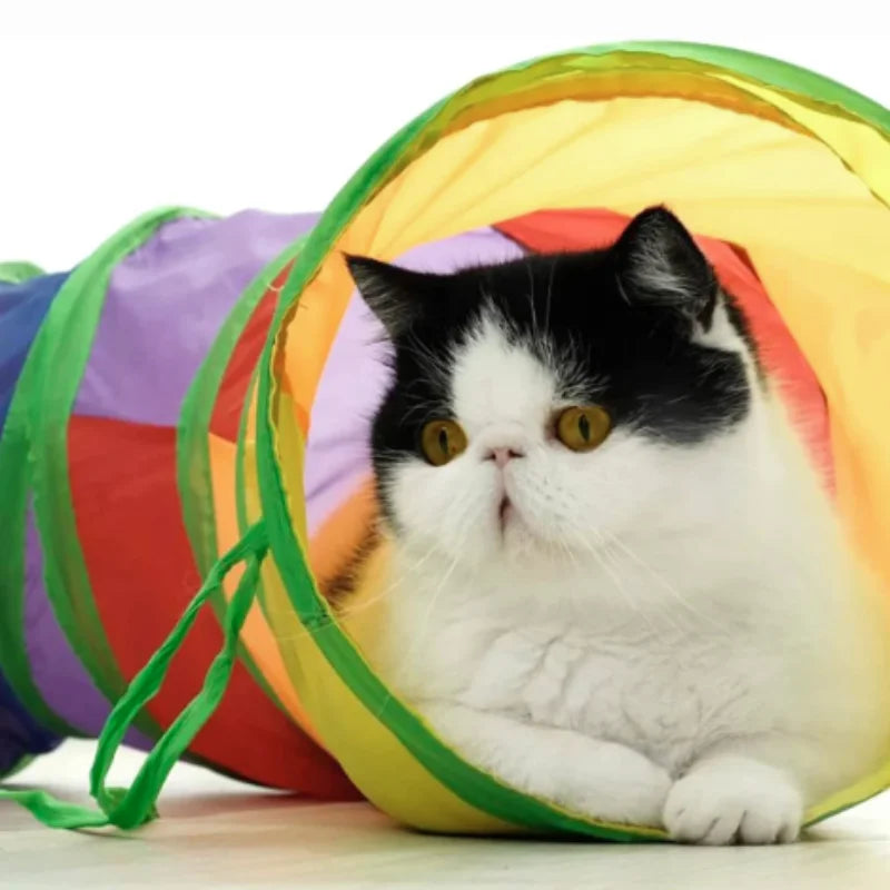 Hot Foldable Cat Tunnel Tube Interactive Fun Kitty Training Toy Boredom Buster for Puppy Kitten Pet Supplies Cat Accessory