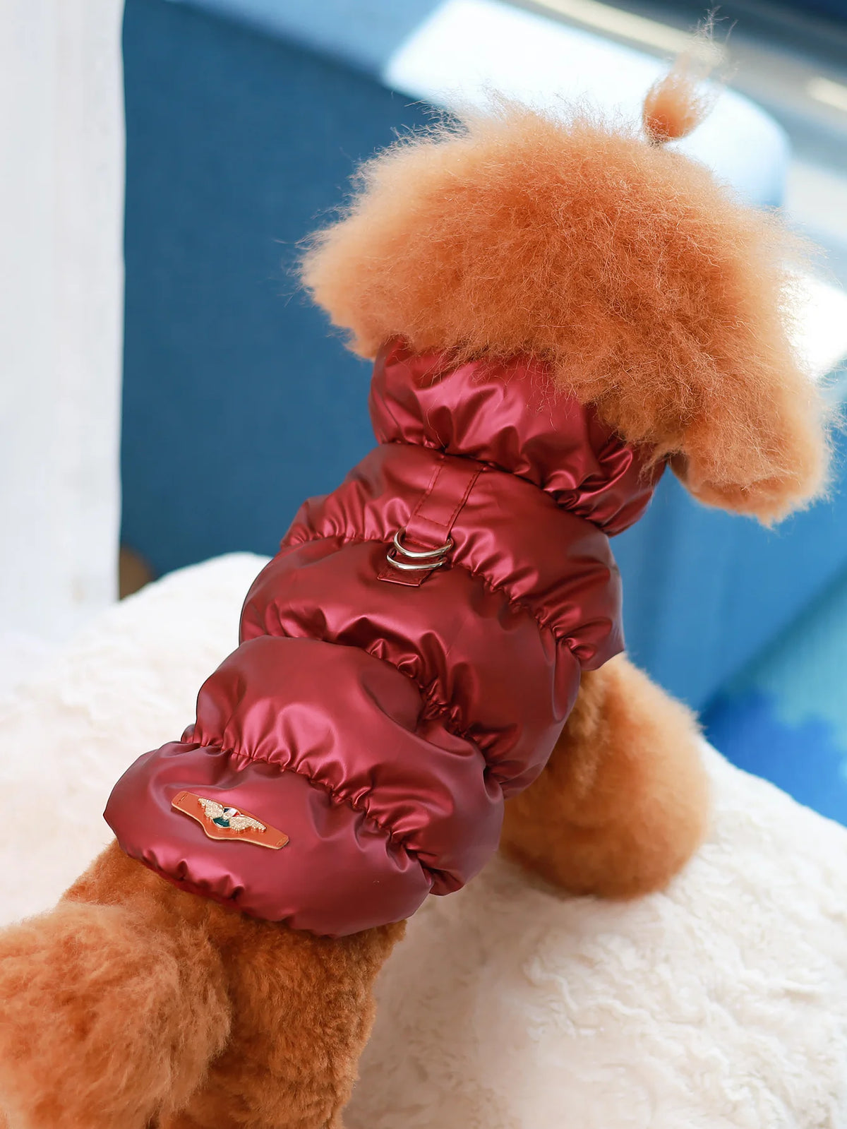 Burgundy Color Three-Layer Winter Dog Jacket For Small And Medium Dogs