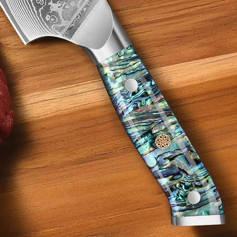8' Kitchen Chef Knife Damascus Steel 67 Layer l Sharp Kitchen Cooking Knife Abalone Shell Handle