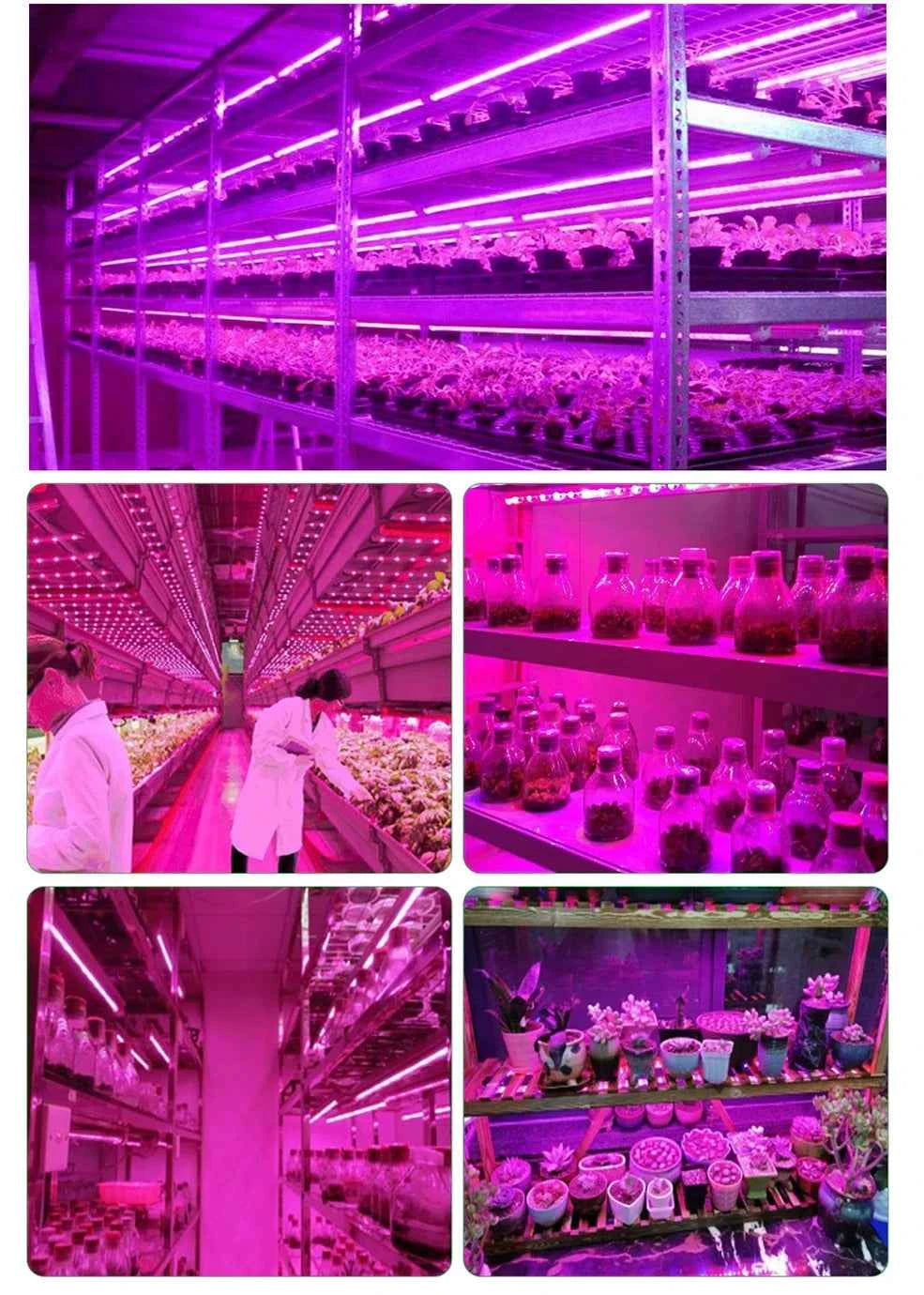 DC 5V USB Led Plant Grow Lights,1m 2m 3m Full Spectrum Phyto Lamp Strip for Plants Hydroponics Greenhouse Growing System .