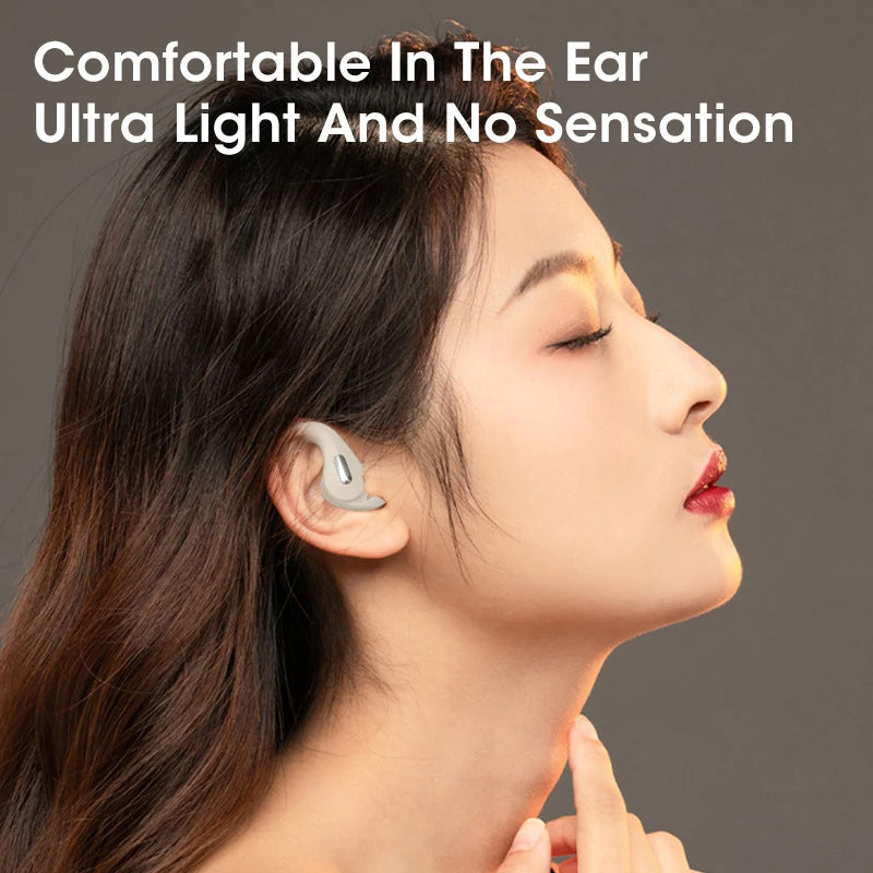 Wireless Bluetooth TWS Earbuds With Earhook & Mic