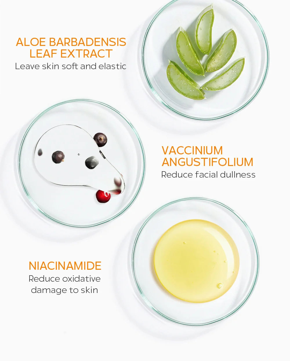LAIKOU 50g Vitamin C Facial Cleanser Brightening Moisturizing Deep Cleansing Foam Dense Amino Acid Gentle Cleanser Face SkinCare