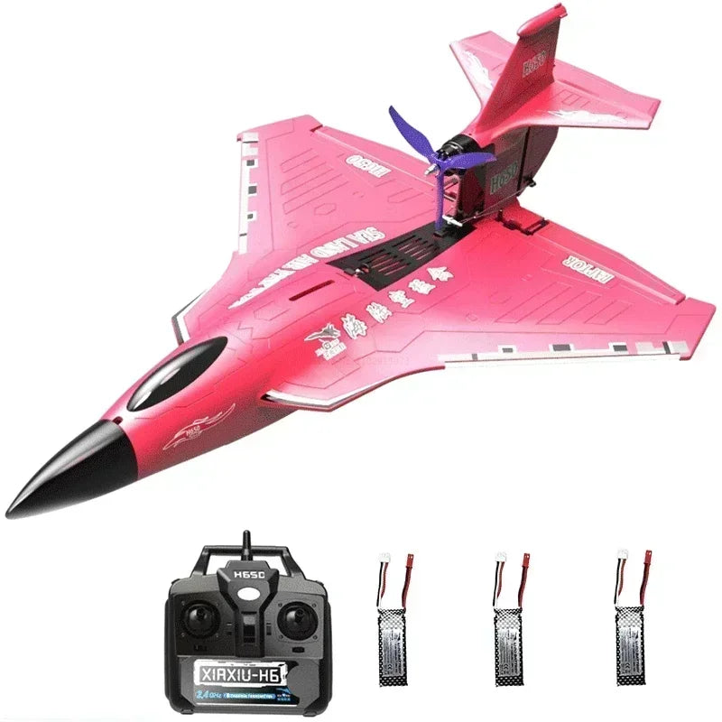 New H650 Raptor Water Land Air Fixed Wing Foam Waterproof Aircraft Brushless Motor Radio-controlled Aircraft Electric Aircraft