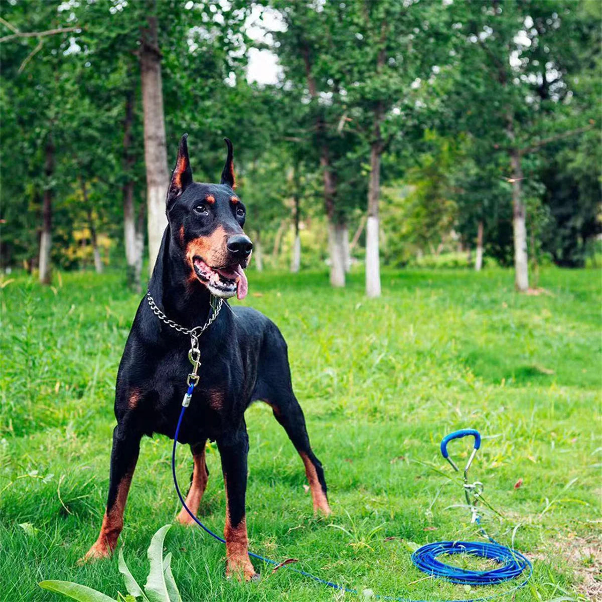 Stainless Steel Dog Pinch Collar For Training Control