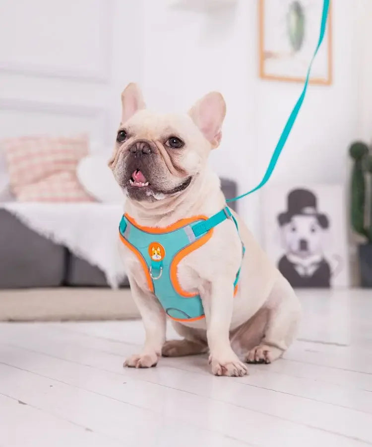 Adjustable No Pull Reflective Pet Harness Lead Walking Running Leashes Dog Cat Chest Strap Vest Leash