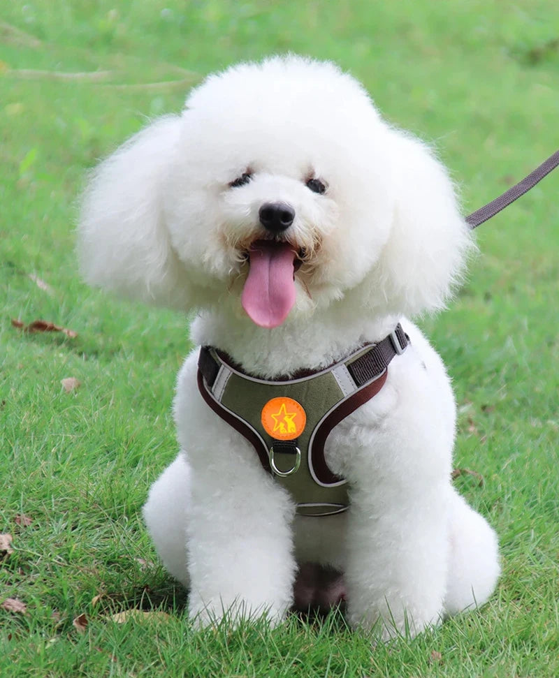 Small Medium Dogs Harness Vest Walking Traction Rope Reflective Straps, Soft Mesh Harness Breathable Pet Supplies