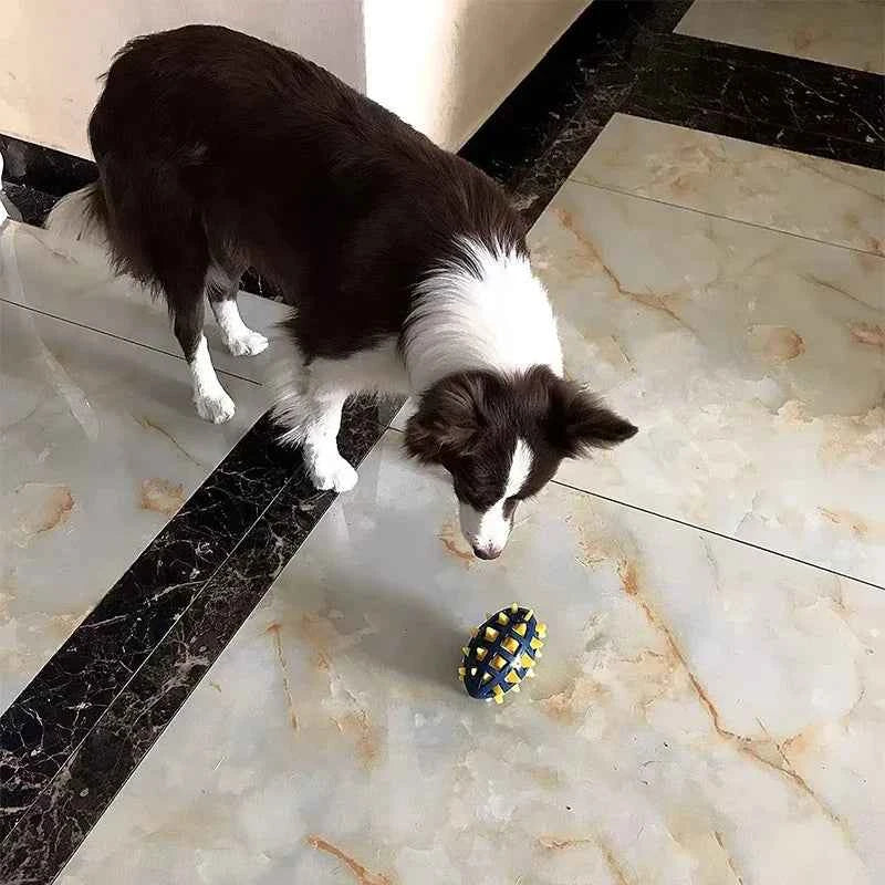 Rubber Rugby Dog Toy – Squeaky, Chew-Friendly Design