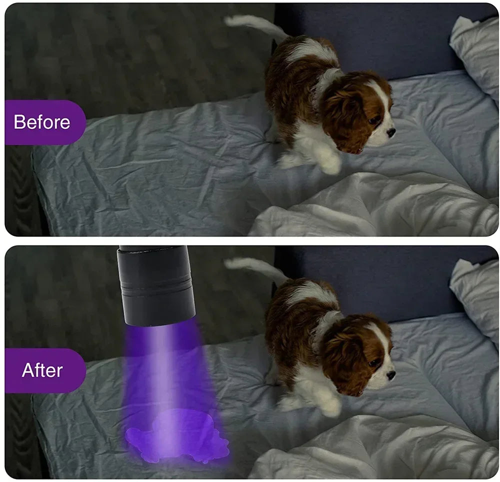 9/12 LED Protable UV Flashlight Black Light 395 NM Ultraviolet Torch Blacklight Detector for Dog Urine Pet Stain and Bed Bug
