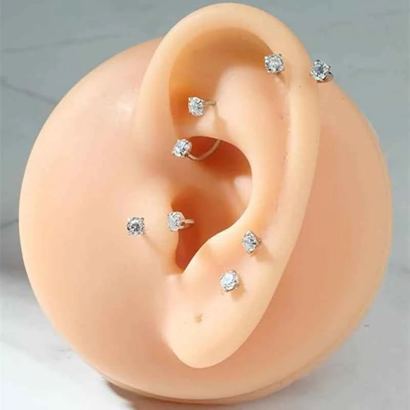 Stainless Steel Nose Ring Set With CZ Studs & Horseshoe