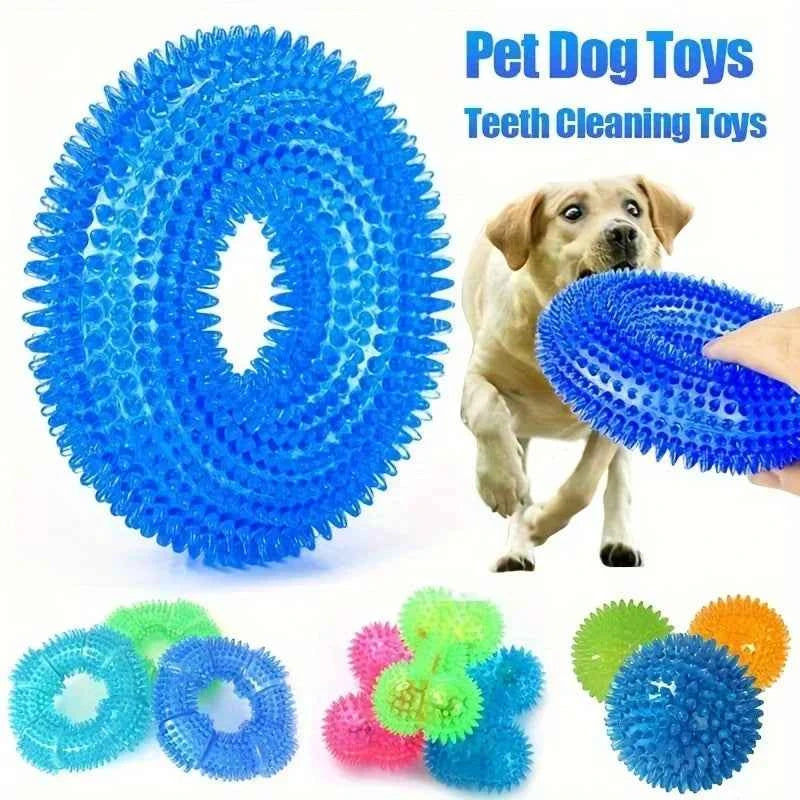 Durable Squeaky Dog Ball Toy – Chew-Resistant Play