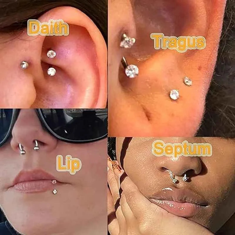 Stainless Steel Nose Ring Set With CZ Studs & Horseshoe